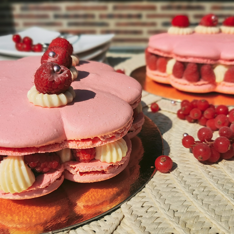 Cake-comedy-by-Caro-macaron-framboise-800x800